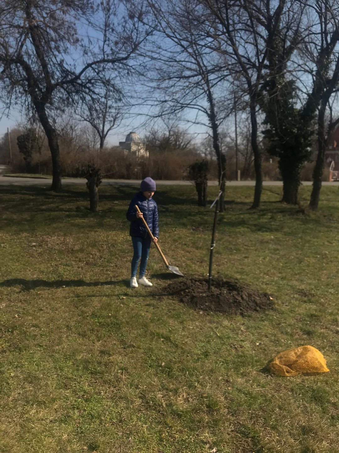 FAÜLTETÉSEK A SZARVASI ARBORÉTUMBAN (4)